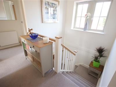Picture 13